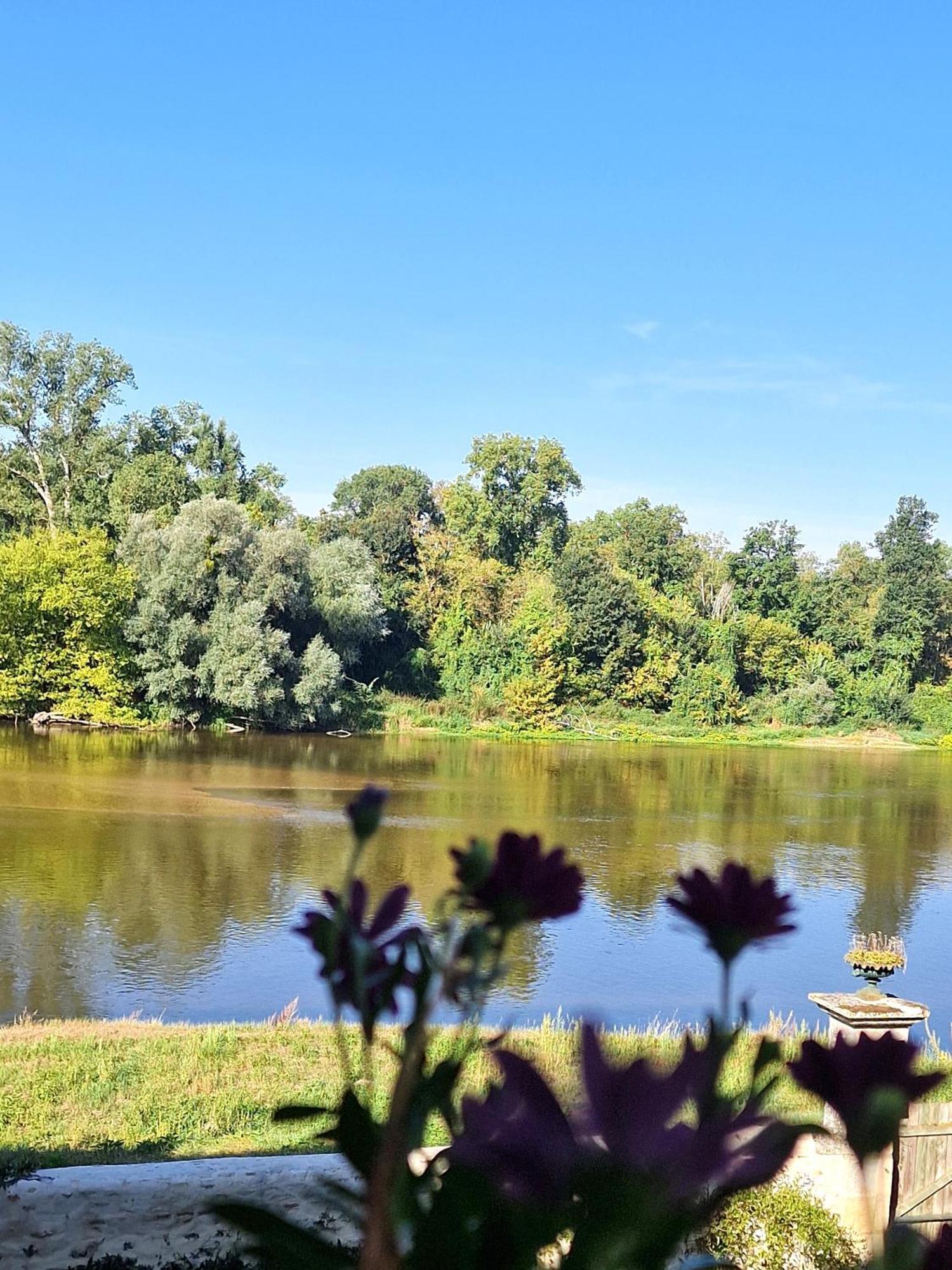 Chambre D'Hotes "Au Bord De Loire" La Marche Esterno foto